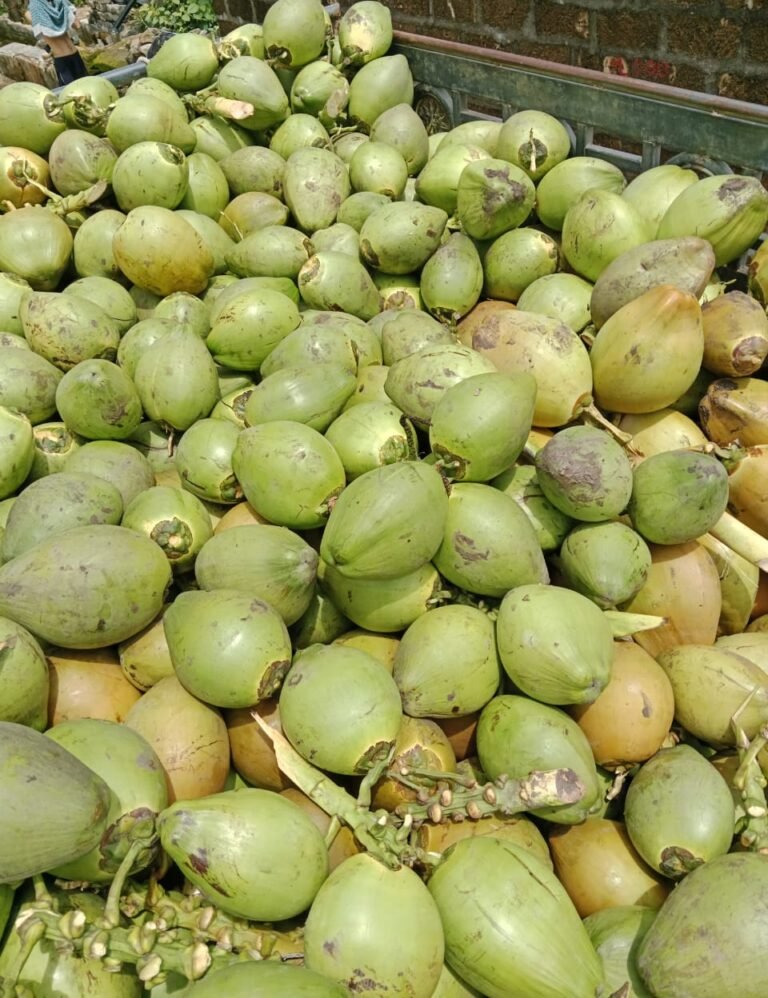 Home whatsapp image 2025 07 31 at 10.42.13 710309c2