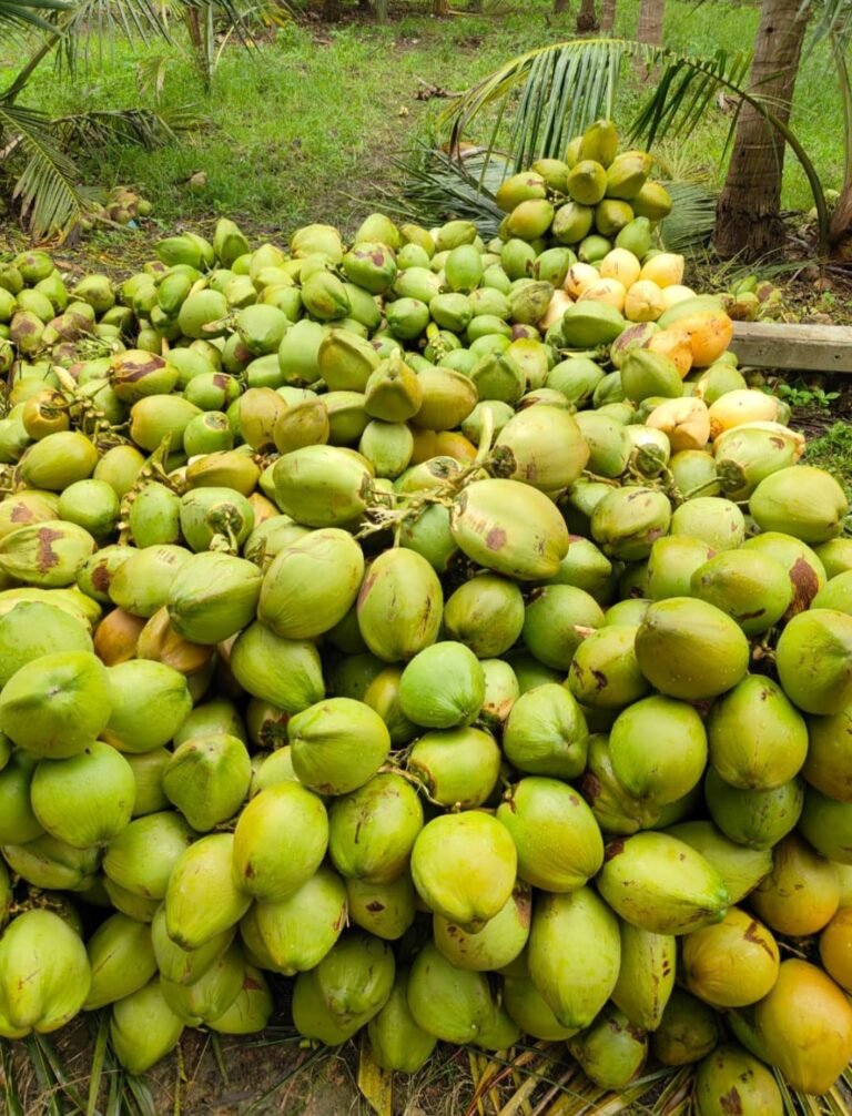 Home whatsapp image 2025 07 31 at 10.42.16 f58122d8