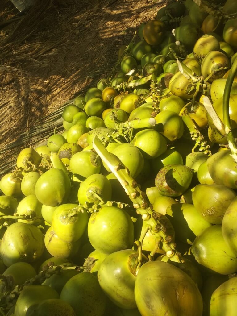 Home whatsapp image 2025 07 31 at 10.42.18 506723f6