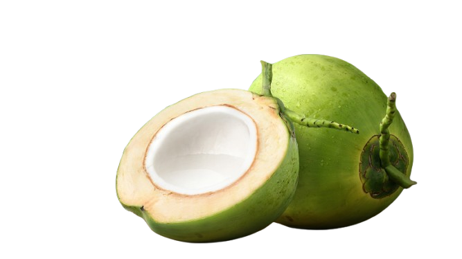 e064544c4348b774aed8380abc06d459 removebg preview